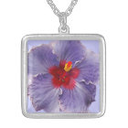 Fleur lilas de Hibsicus