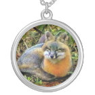 Le sommeil le plus doux de Fox gris