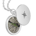 Libellule femelle de Podhawk en suspens