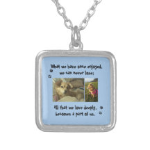 mémoire pour animaux perdus photos de téléchargeme