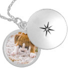 Collier mignon de chien de boxeur