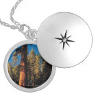 Parc national de séquoia, la Californie 2