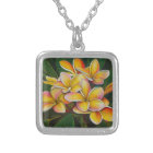 Plumeria d'arc-en-ciel