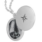 Rayon X des papillons dans l'estomac