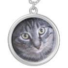 Visage gris adorable de chat