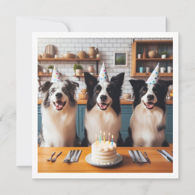 Collies frontalières, Carte d'anniversaire de chie (Devant)