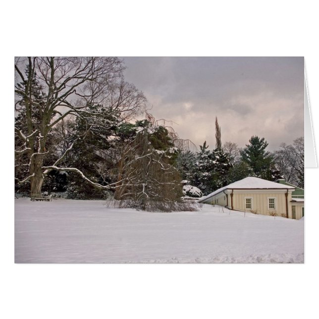 Colline de vague en hiver (Devant horizontal)