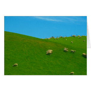 colline des moutons