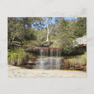 Collins Beach Postcard