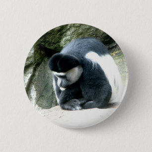 Colobus 2 Inch Round Button