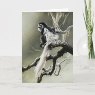Colobus Blank Card by Andrew Denman