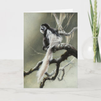 Colobus Blank Card by Andrew Denman