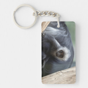 Colobus polykomos keychain