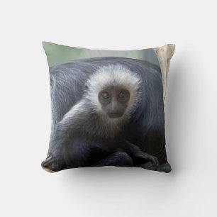 Colobus polykomos throw pillow