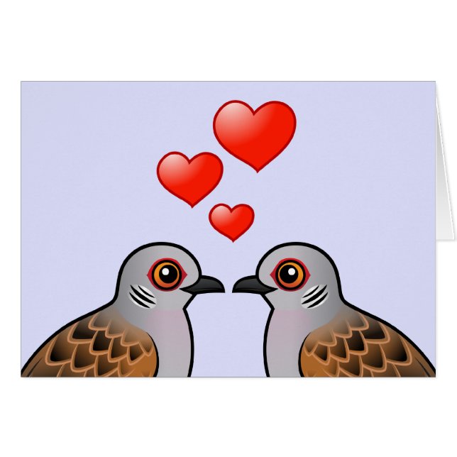 Colombes de tortue dans l'amour (Devant horizontal)