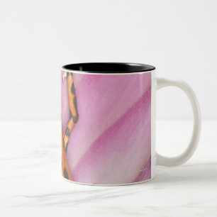 Colon Isle Dart Frog, Oophaga pumilio Two-Tone Coffee Mug