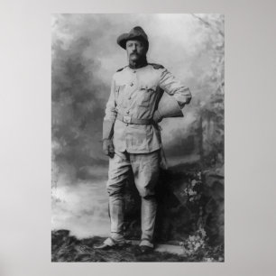 Colonel Teddy Roosevelt Poster