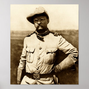 Colonel Theodore Roosevelt Poster