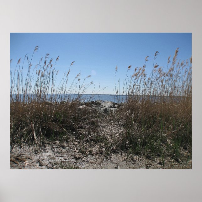 Colonial Beach 1 Poster (Front)