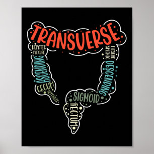 Colonoscopy Gi Funny Endoscopy Nurse Colon Anatomy Poster