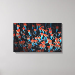 Colony Canvas Print