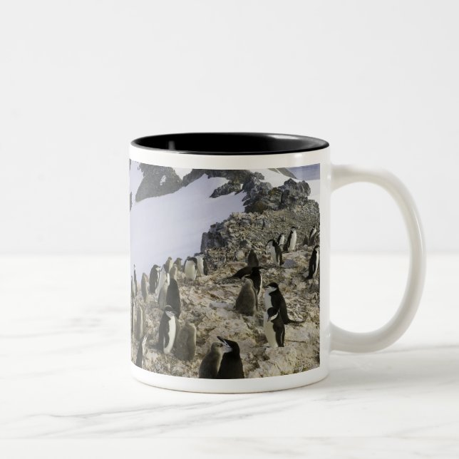 Colony of Chinstrap penguins Two-Tone Coffee Mug (Right)