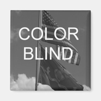 Color Blind Greyscale Flags Magnet