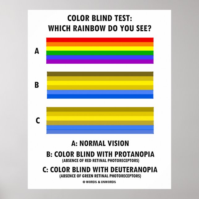 Color Blind Test Which Rainbow Do You See? Poster (Front)