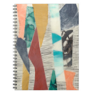 Color Edge II Notebook