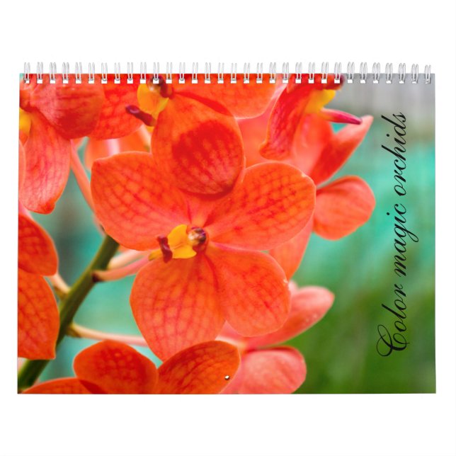 Color magic orchids calendar (Cover)