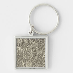 Colorado 6 keychain