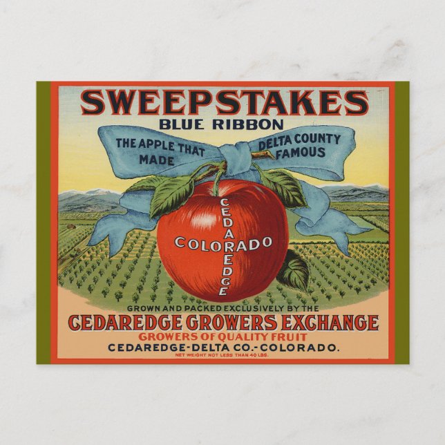 Colorado Apple Design Postcard (Front)