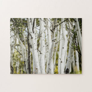 Colorado Aspen Tree Photos, Picture Jigsaw Puzzles
