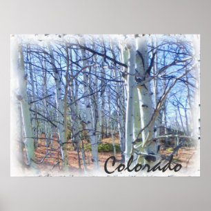Colorado aspen tree scenic poster