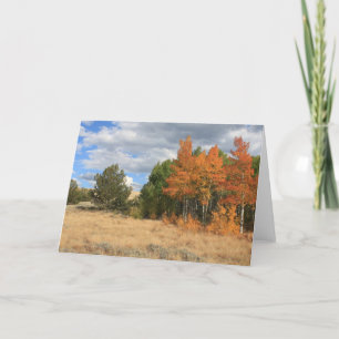 Colorado Autumn Aspen Trees All Occasion Card