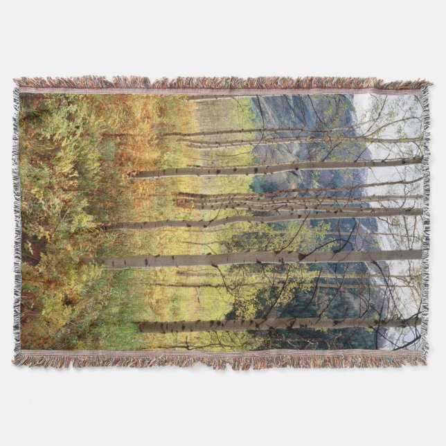 Colorado, Autumn colours of aspen trees Throw Blanket (Front)