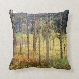 Colorado, Autumn colours of aspen trees Throw Pillow