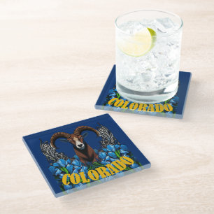 Colorado Bighorn Sheep With Blue Columbine Flowers Glass Coaster