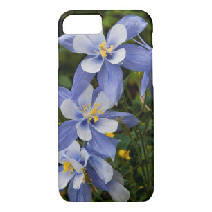 Colorado Blue Columbine near Telluride Colorado iPhone 8/7 Case