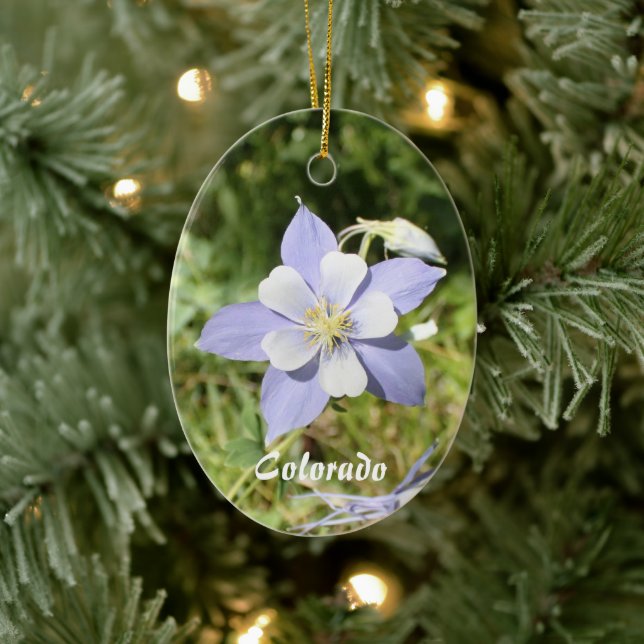 Colorado Blue Columbine Ornament (Tree)