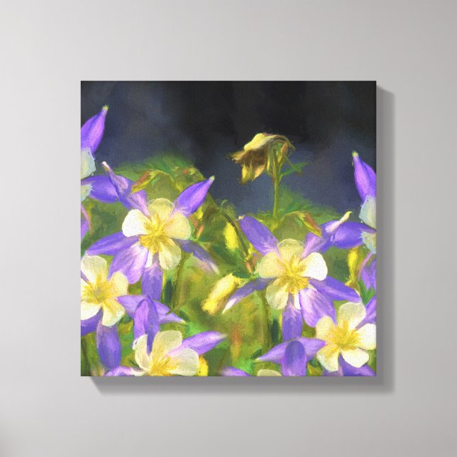 Colorado Blue Columbine Painting - Original Art Canvas Print (Front)