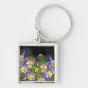 Colorado Blue Columbine Painting - Original Art Keychain