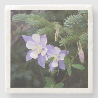 Colorado Columbine 4"x4" Marble Coaster