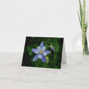 Colorado Columbine Note Card