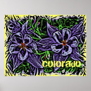 Colorado columbines poster