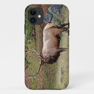 Colorado Elk  iPhone 5 Case-Mate Barely There 11 Case