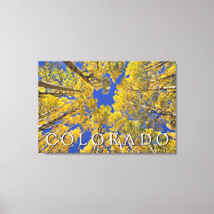 Colorado Fall   Aspen Forest in Autumn Canvas Print