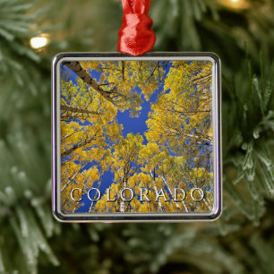 Colorado Fall   Aspen Forest in Autumn Metal Ornament