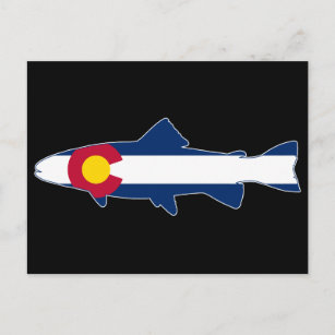 Colorado Flag Trout Fish Postcard