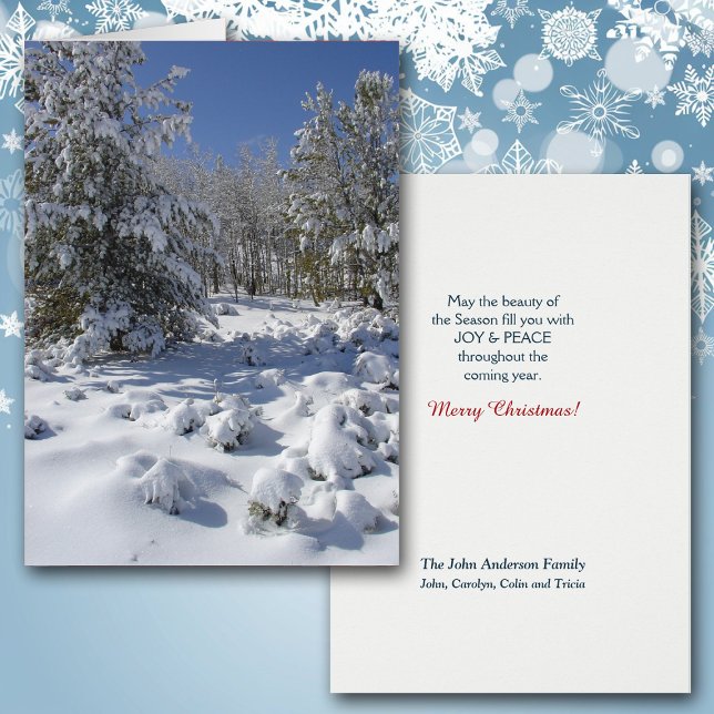 Colorado Forest Beauty Christmas Card (Creator Uploaded)